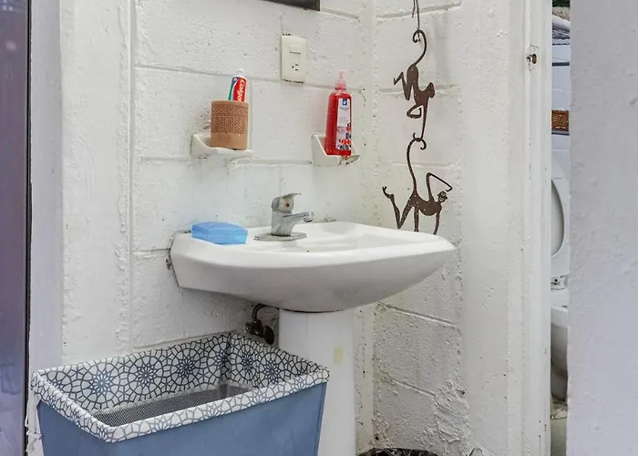 Apartamento Departamento En Centro Histórico *